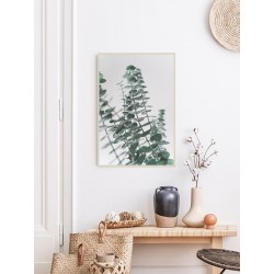 Постер в рамці "Eucalyptus"