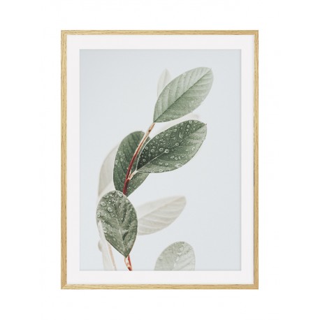 Постер в рамке "Leaves"