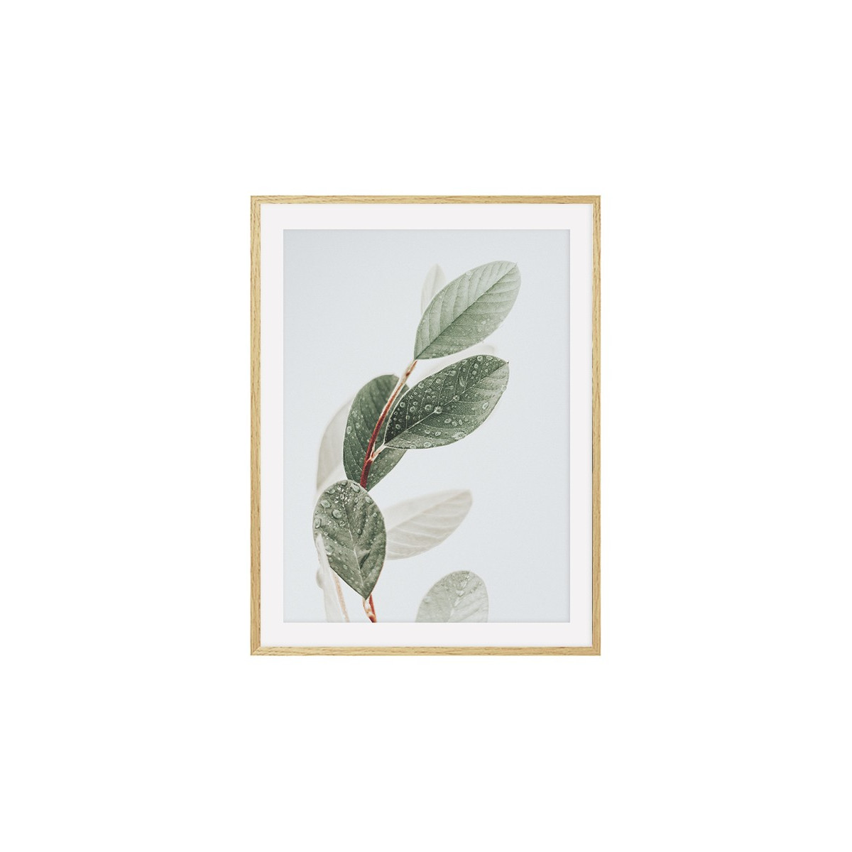 Постер в рамке "Leaves"