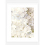 Постер в рамке "Hydrangea"