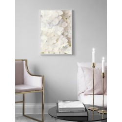 Постер в рамці "Hydrangea"