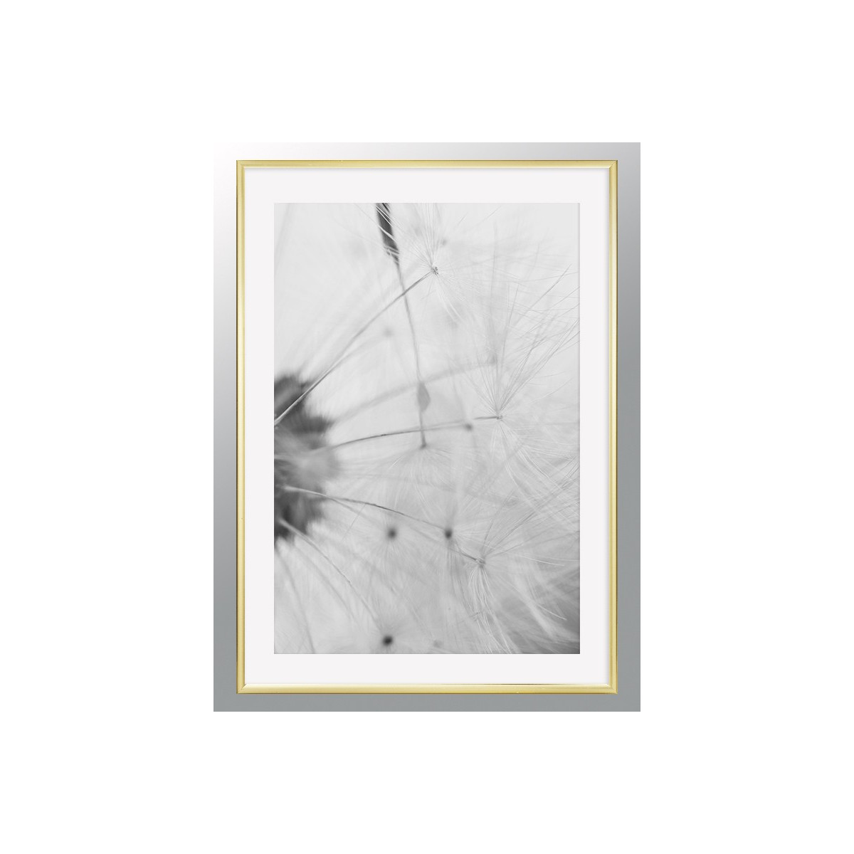Постер в рамке "Dandelion"
