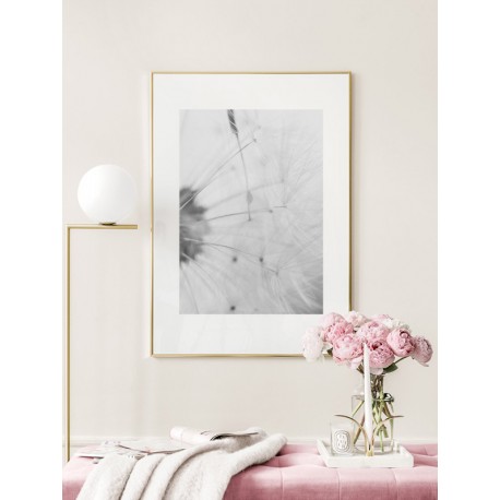 Постер в рамке "Dandelion"