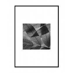 Постер в рамці "Leaves"