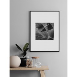 Постер в рамке "Leaves"