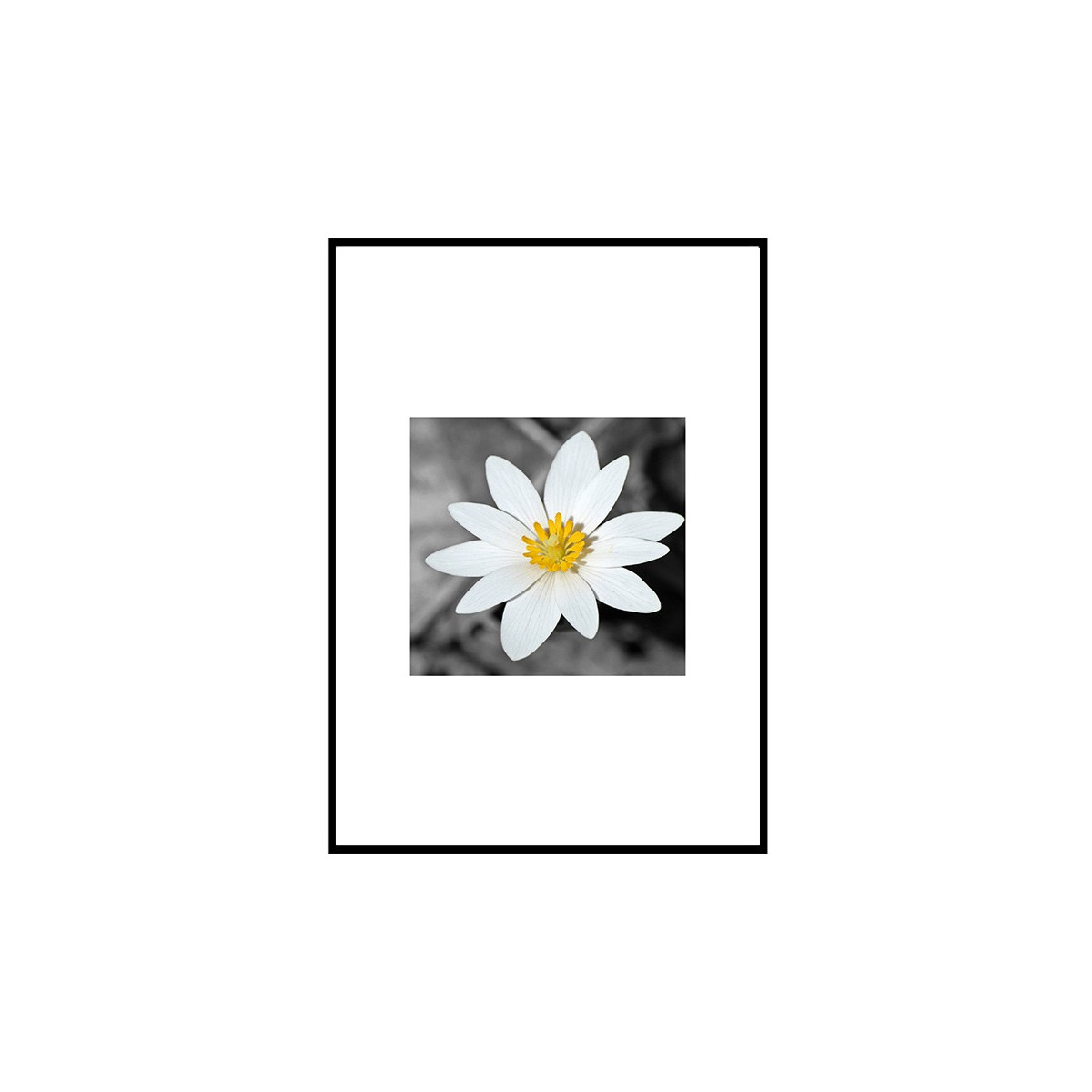 Постер в рамке "Spring Flower"