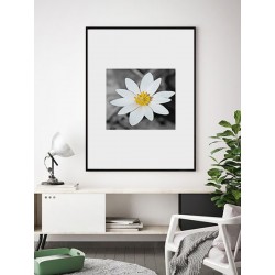 Постер в рамці "Spring Flower"