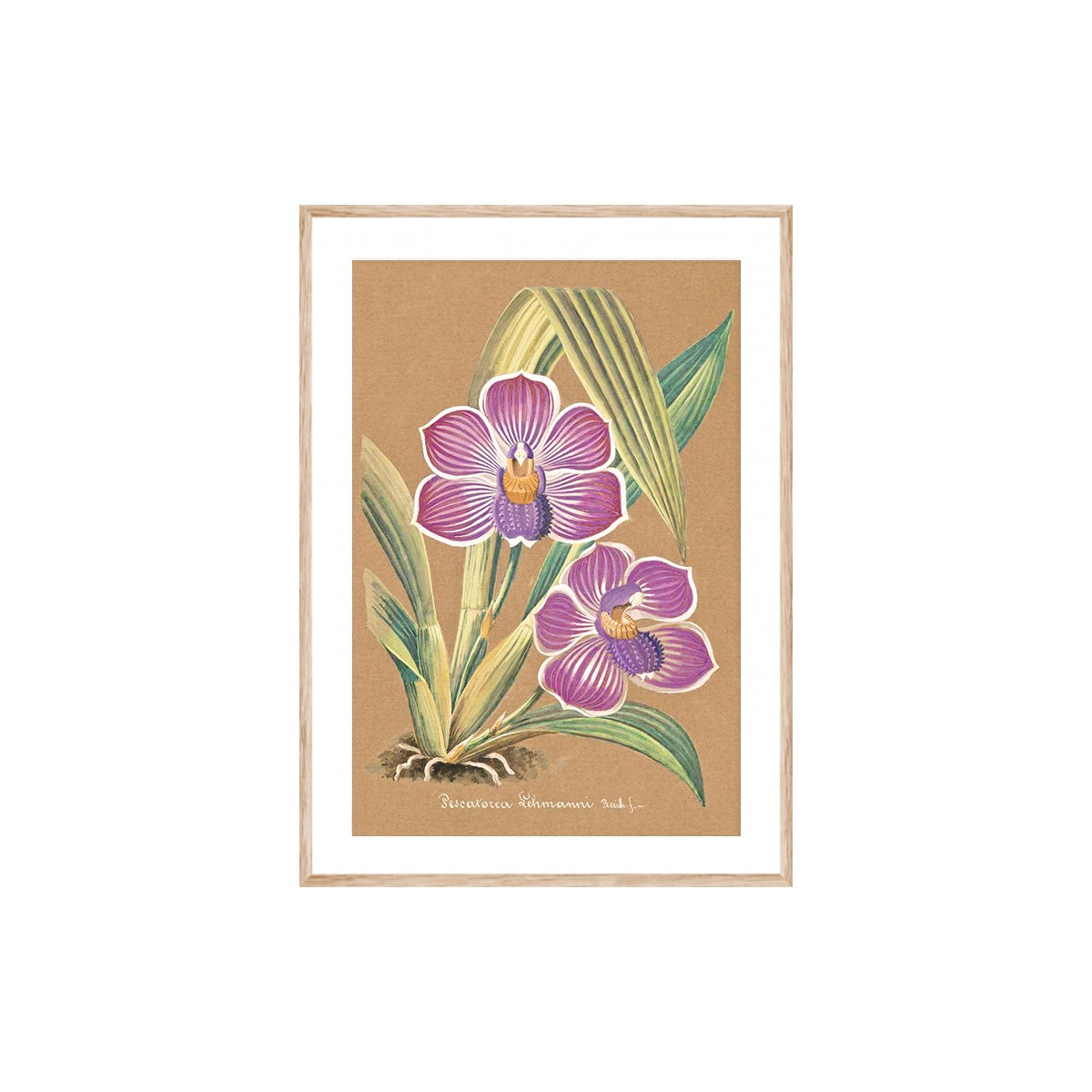 Постер в рамке "Orchid"
