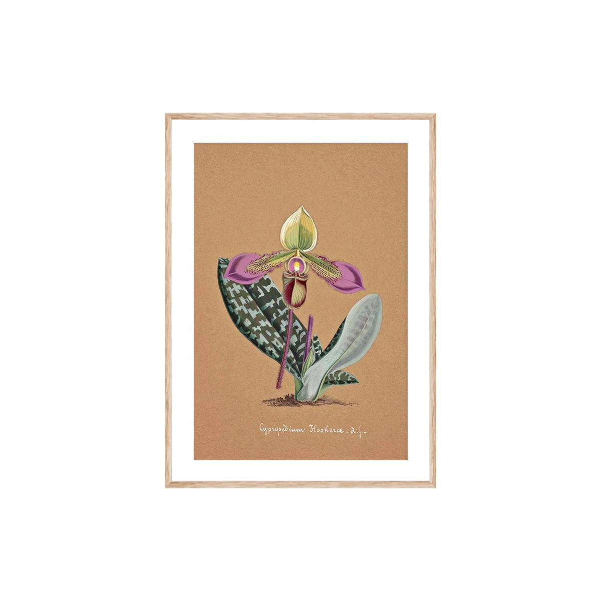 Постер в рамці "Orchid"