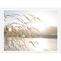 Постер в рамці "Dream"