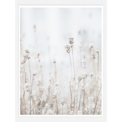 Постер в рамці "Lavandula"