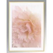 Постер в рамке "Peony"