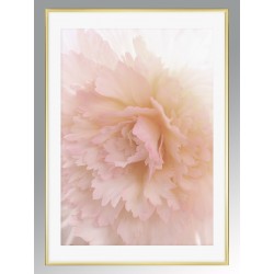 Постер в рамке "Peony"