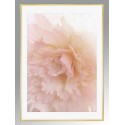 Постер в рамке "Peony"