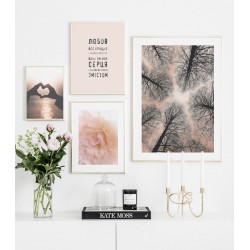 Постер в рамке "Peony"