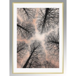 Постер в рамці "Aloft"