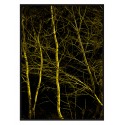 Постер в рамці "In the woods"