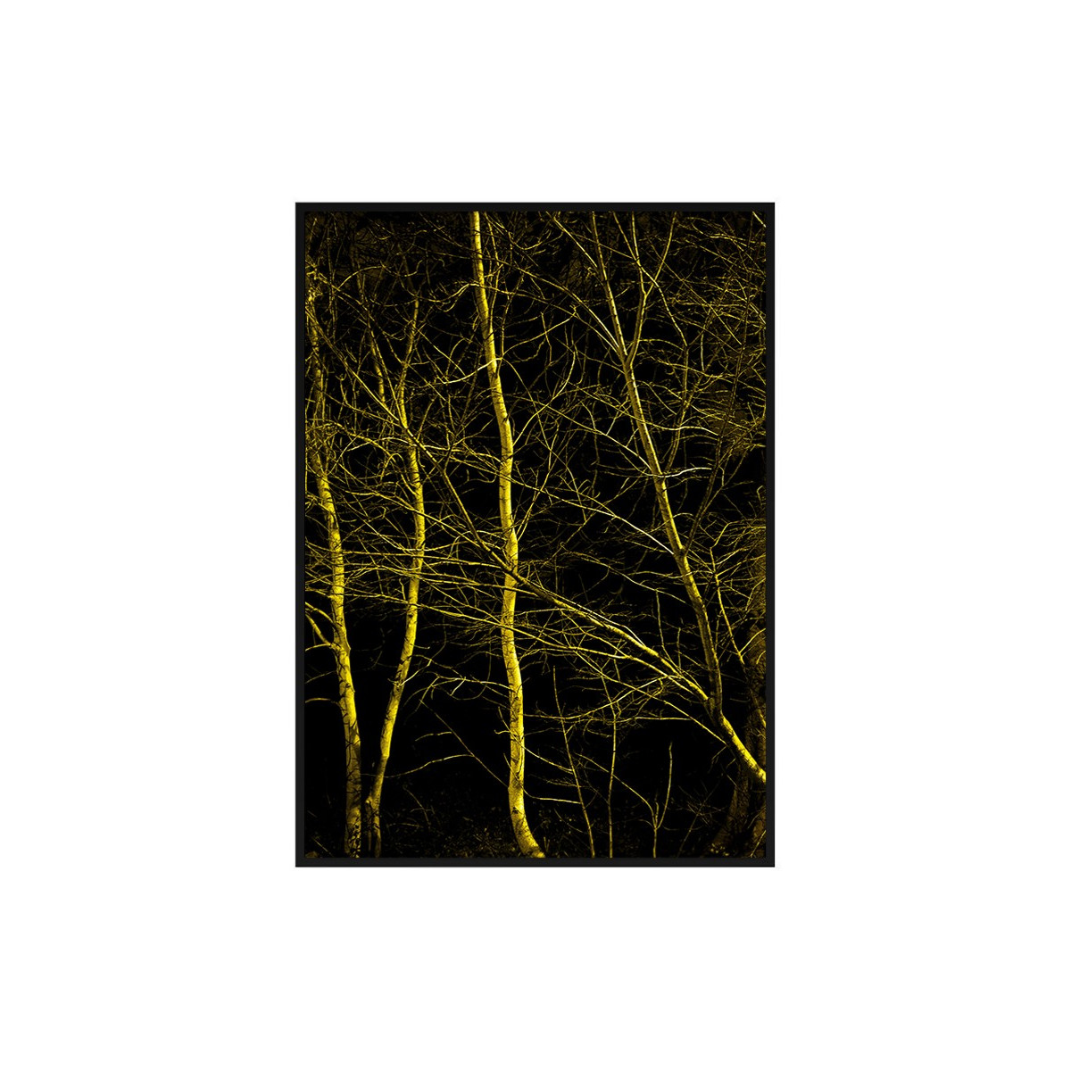 Постер в рамці "In the woods"