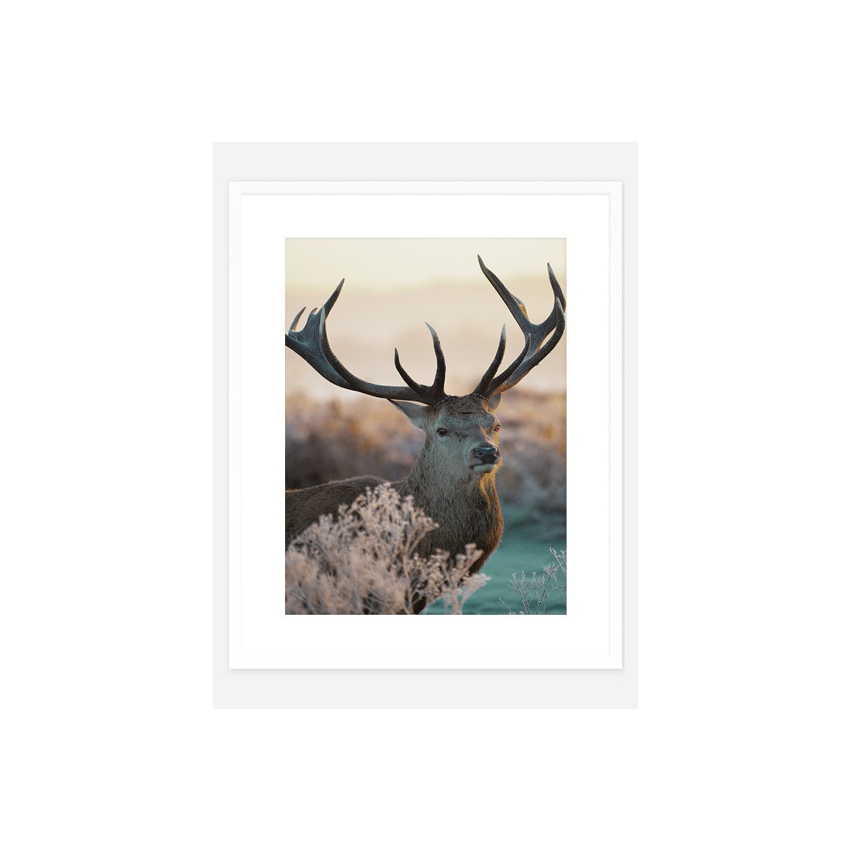 Постер в рамці "Deer"