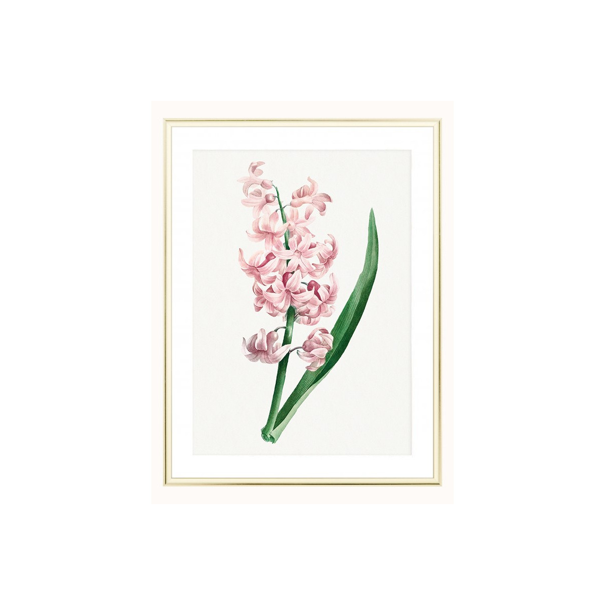 Постер в рамці "Hyacinth"