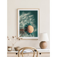 Постер в рамке "Dandelion"