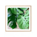 Постер в рамці "Monstera"