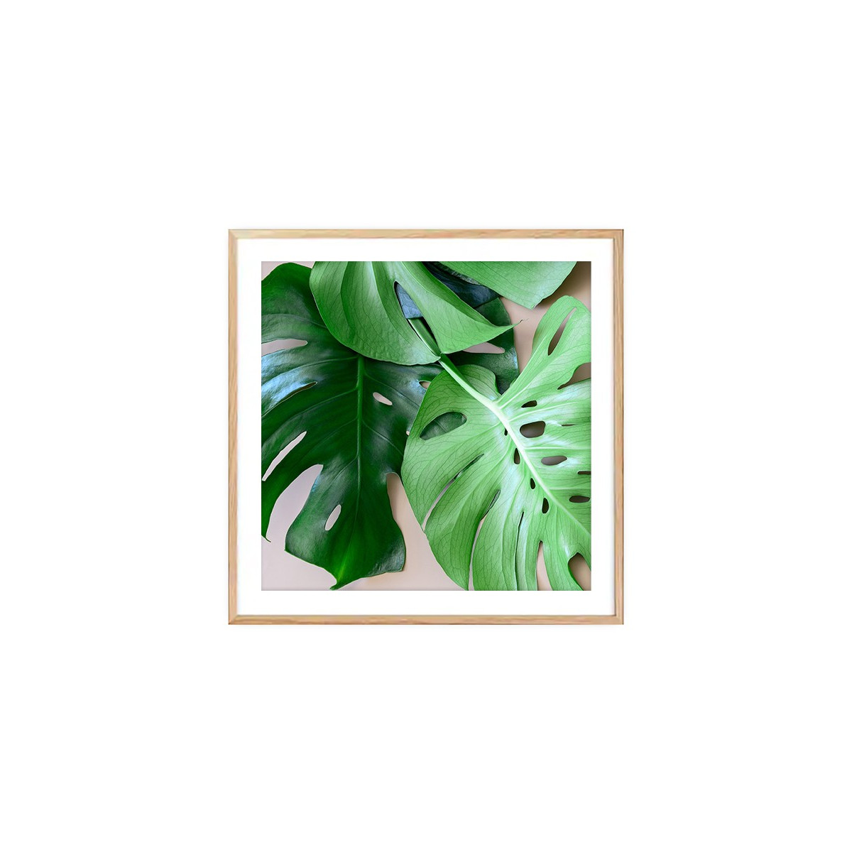 Постер в рамке "Monstera"