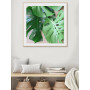 Постер в рамке "Monstera"