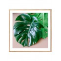 Постер в рамці "Monstera"