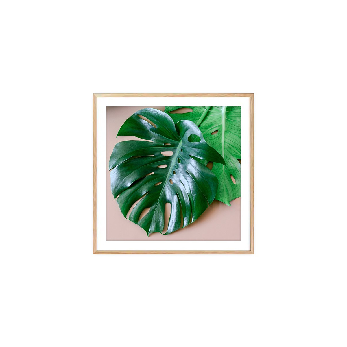Постер в рамці "Monstera"