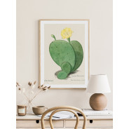 Постер в рамке "Cactus"