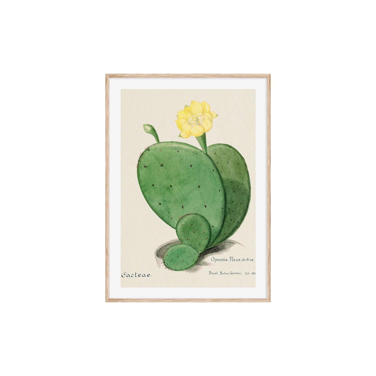Постер в рамці "Cactus"
