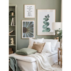 Постер в рамці "EUCALYPTUS"