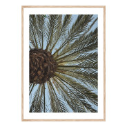 Постер в рамке "Palm"