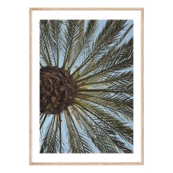 Постер в рамке "Palm"