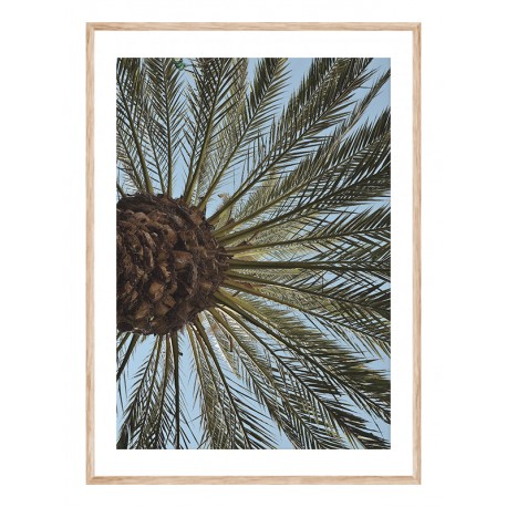 Постер в рамке "Palm"