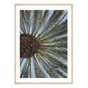Постер в рамке "Palm"
