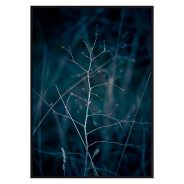 Постер в рамке "Nature"