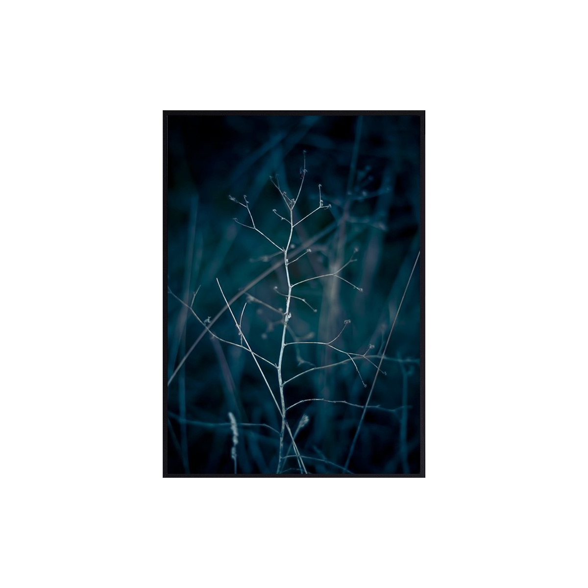 Постер в рамке "Nature"