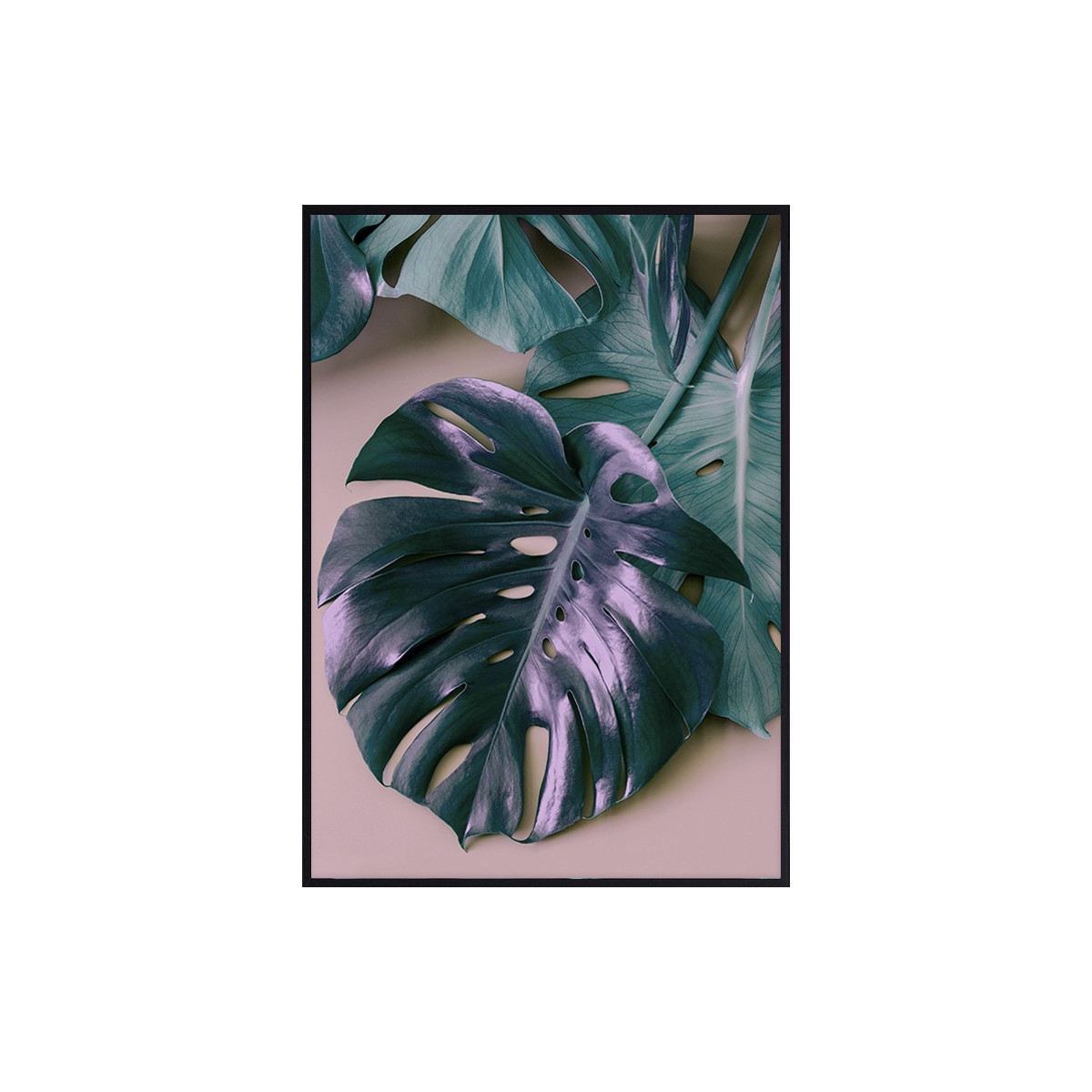 Постер в рамке "Monstera"