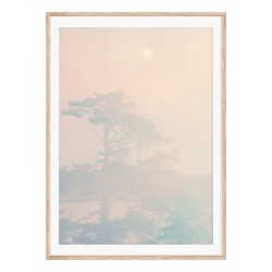 Постер в рамке "Tropic"