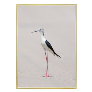 Постер в рамке "Elegance"