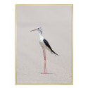 Постер в рамке "Elegance"