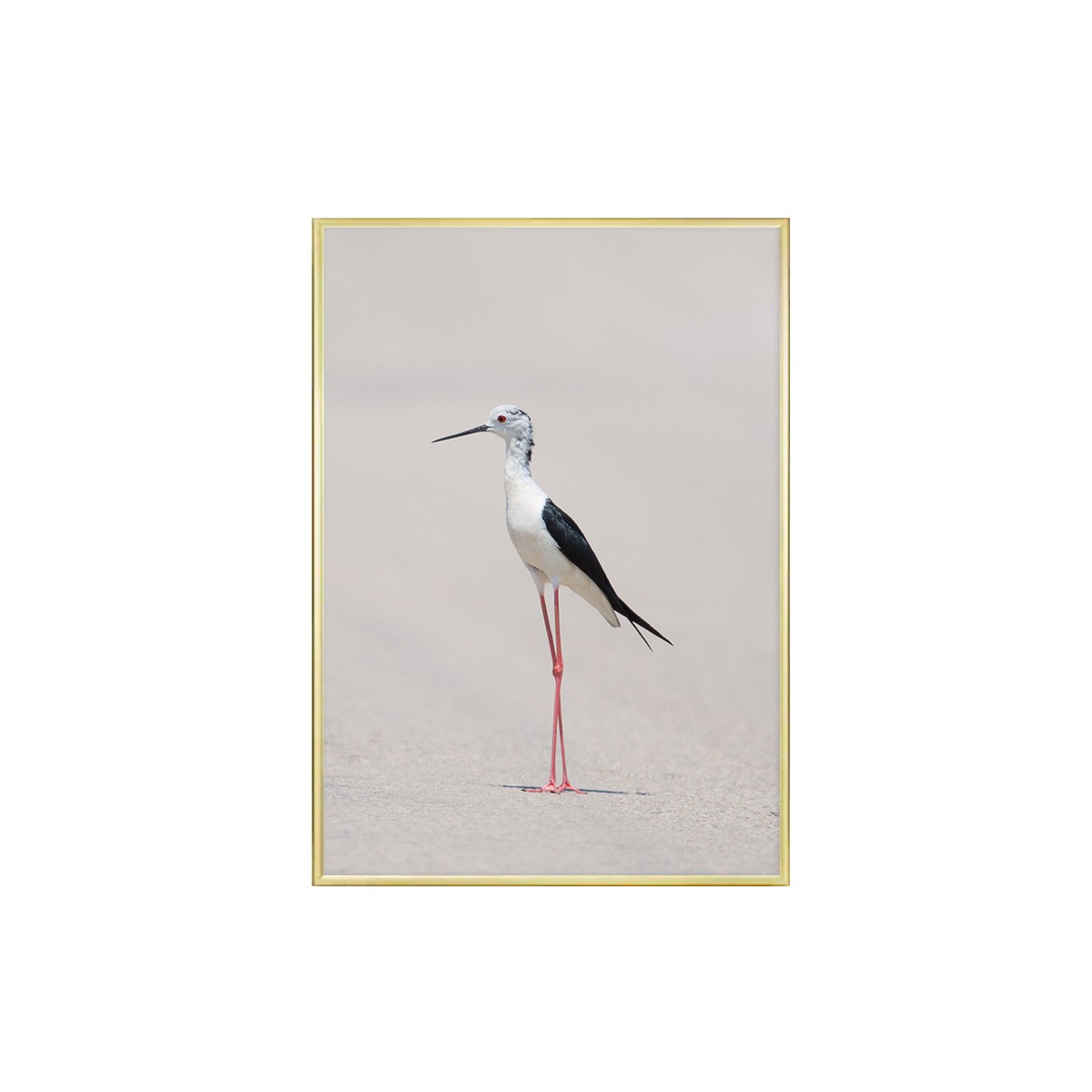 Постер в рамке "Elegance"