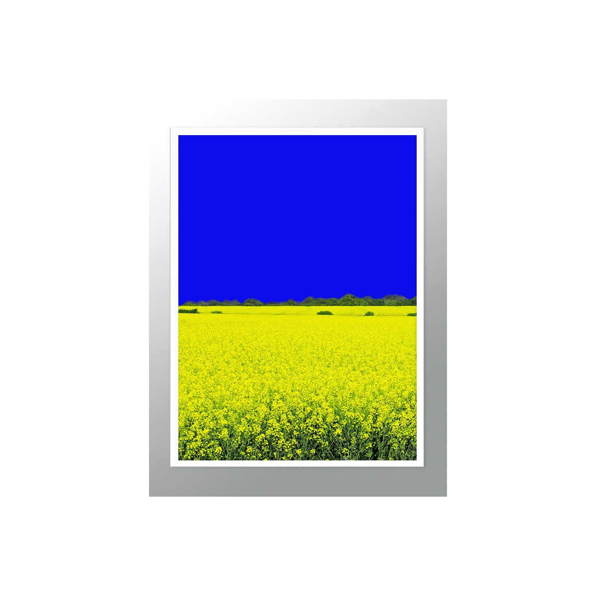 Постер в рамці "Blue and yellow"