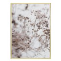 Постер в рамці "Dried Flower Aesthetic"