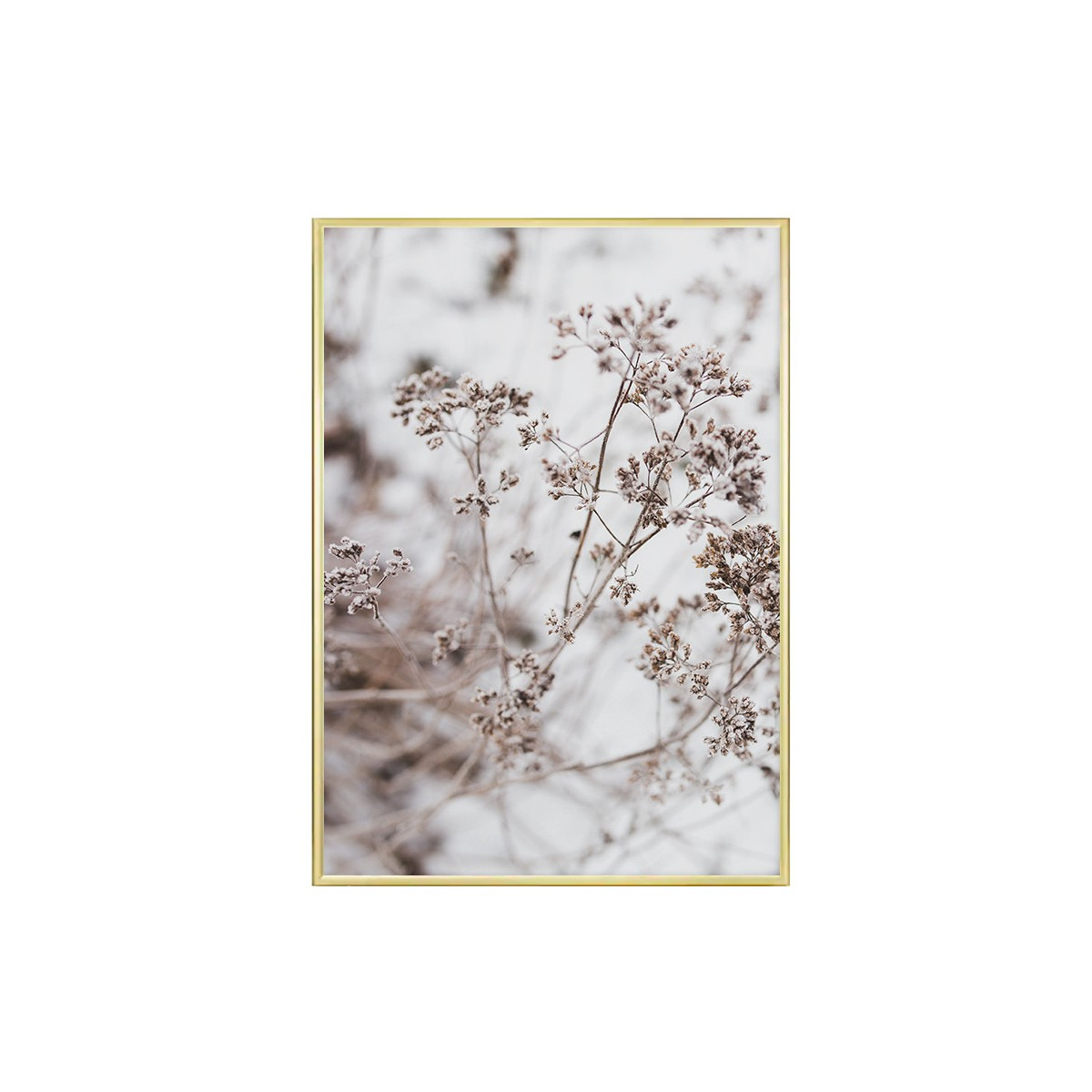 Постер в рамці "Dried Flower Aesthetic"