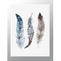 Постер в рамке "Feathers"