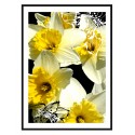 Постер в рамці "Narcissus ART"