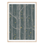 Постер в рамці "Star forest"